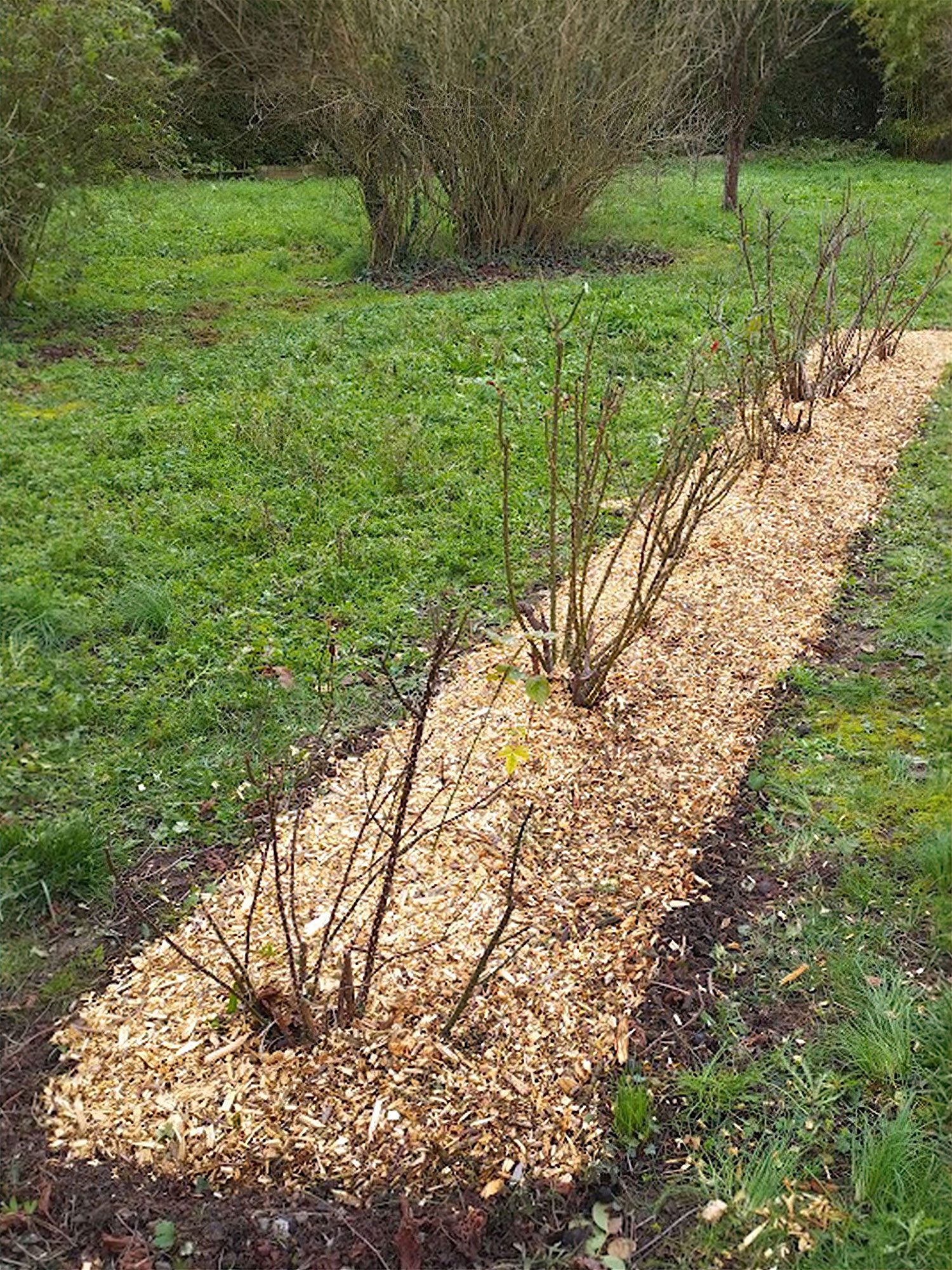 broyage des végétaux - Réduction des déchets à Niort 