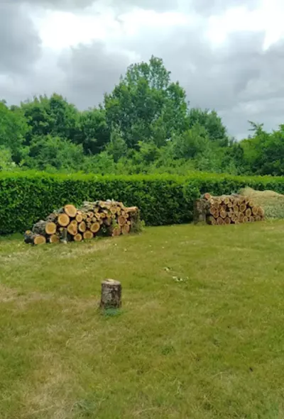 Broyage de déchets verts à Niort dans les Deux-Sèvres 79